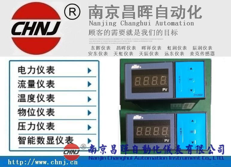 大延牌DY2000、東輝儀表、DY28B02/DY21B02/DY29B02數(shù)顯表